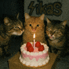 My Birthday DJ Session w/ Visualizer!