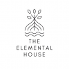 Dr Jo Curiosity Club at Elemental House