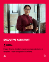 Executive Assistant