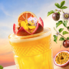 COCKTAIL OF THE MONTH