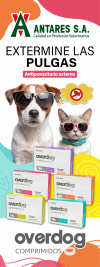 OVERDOGS COMPRIMIDOS