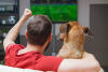 ⚽ Fútbol sin estresar a tus mascotas