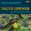 Neurostreams Valve Opener