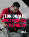 Técnico/a de Mecatrónica/Mecânico