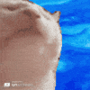 ♫ SoundCloud