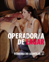 Operador/a de Lagar