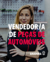 Vendedor/a de Peças de Automóveis