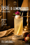 COCKTAIL OF THE MONTH
