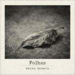 Folhas