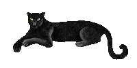 Sextpanther