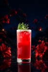 COCKTAIL OF THE MONTH