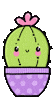 Plantas