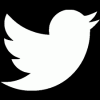 Twitter (X)