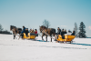 Dec. 5-6. Lovasszánozás Zakopane🐎🛷🏔️🌲