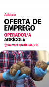 OPERADOR AGRÍCOLA - SALVATERRA DE MAGOS