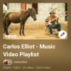 YouTube Playlist Music Videos